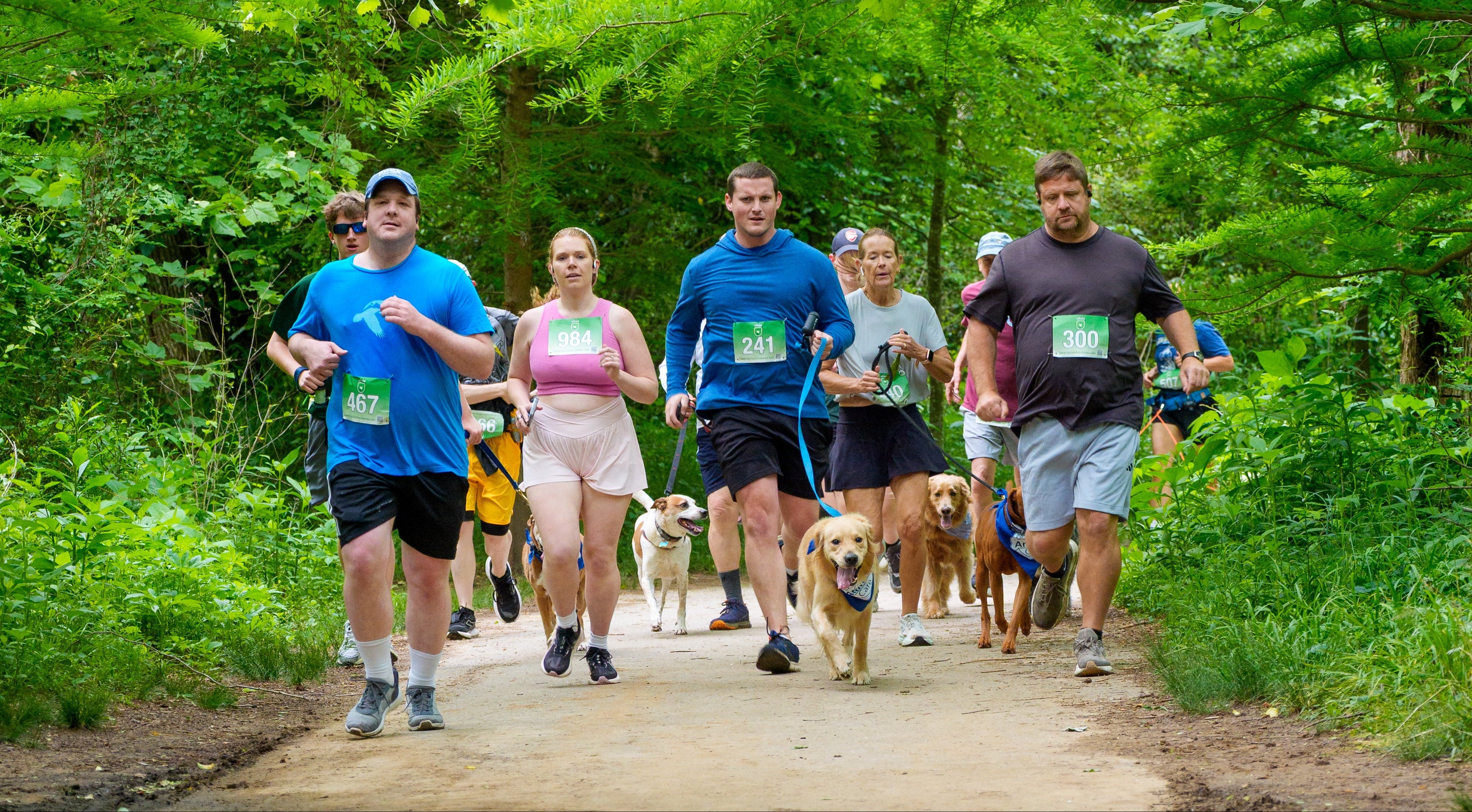 Group of people running with dogs on a trail in a forest