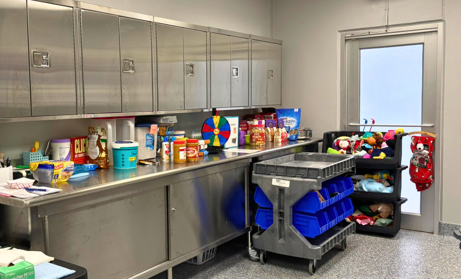 Veterinary clinic enrichment room with toy supplies and equipment.